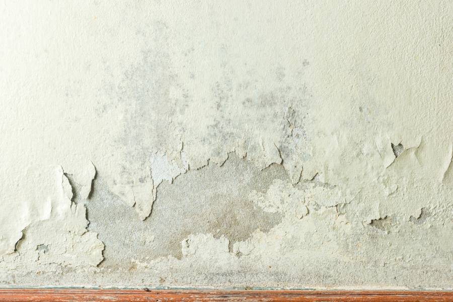 Penetrating damp